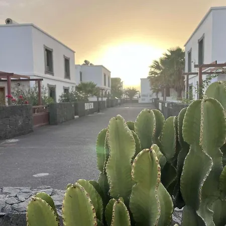 Cyca * Playa Blanca (Lanzarote)